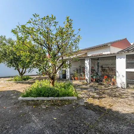 Casa Da Betinha Villa Ílhavo