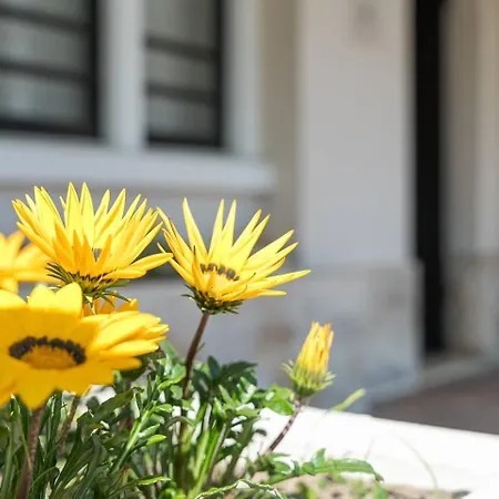 Casa Da Betinha Villa Ílhavo